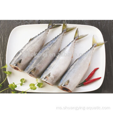 Ikan beku pacific mackerel hgt dengan harga terendah